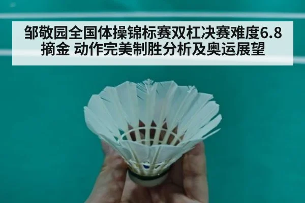邹敬园全国体操锦标赛双杠决赛难度6.8摘金 动作完美制胜分析及奥运展望