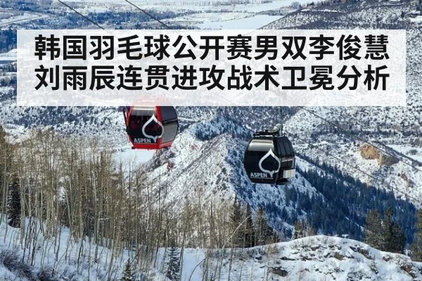 韩国羽毛球公开赛男双李俊慧刘雨辰连贯进攻战术卫冕分析